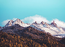 开云入口注册-开云：云端生活的新纪元