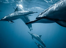 开云入口注册-开云：云端生活的新纪元